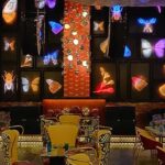 Dragonfly Experience Club in Aerocity