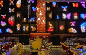 Read more about the article Dragonfly Experience Club in Aerocity