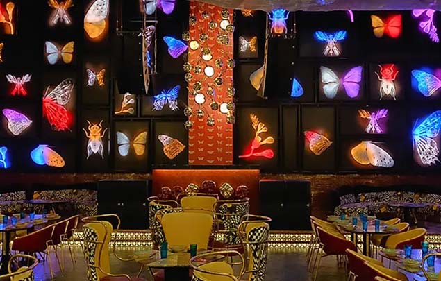 Dragonfly Experience Club in Aerocity
