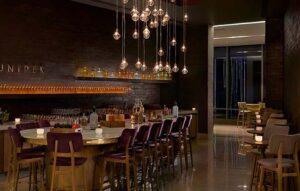 Read more about the article Juniper Bar In Delhi Aerocity