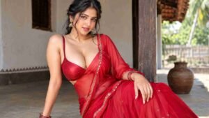 Read more about the article Indian model and call girl in delhi